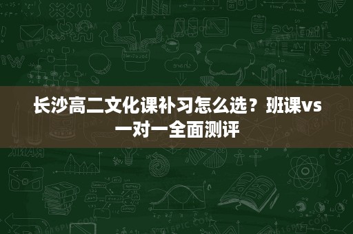 长沙高二文化课补习怎么选?班课vs一对一全面测评 长沙高二文化课补习怎么选?班课vs一对一全面测评