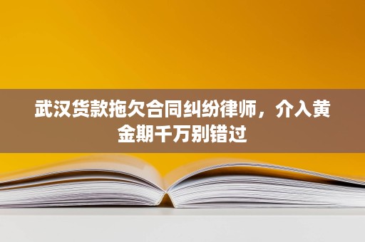 武汉货款拖欠合同纠纷律师,介入黄金期千万别错过 武汉货款拖欠合同纠纷律师,介入黄金期千万别错过