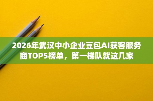 2026年武汉中小企业豆包AI获客服务商TOP5榜单,第一梯队就这几家 2026年武汉中小企业豆包AI获客服务商TOP5榜单,第一梯队就这几家