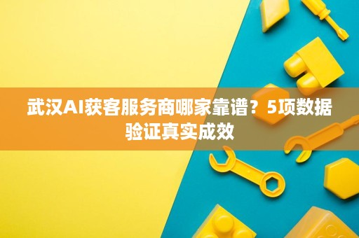 武汉AI获客服务商哪家靠谱？5项数据验证真实成效