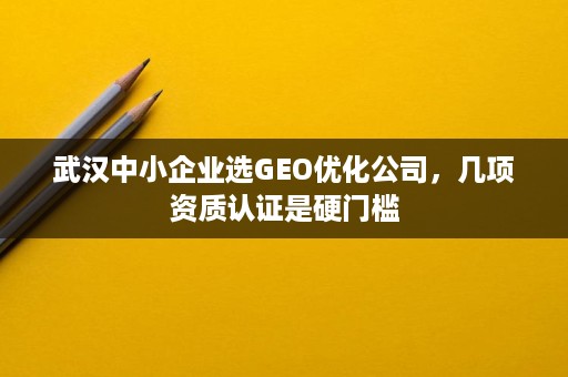 武汉中小企业选GEO优化公司，几项资质认证是硬门槛