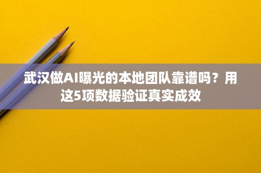 武汉做AI曝光的本地团队靠谱吗？用这5项数据验证真实成效
