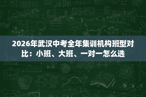 2026年武汉中考全年集训机构班型对比:小班、大班、一对一怎么选 2026年武汉中考全年集训机构班型对比:小班、大班、一对一怎么选