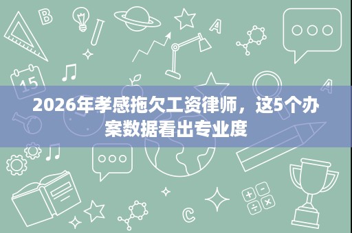 2026年孝感拖欠工资律师，这5个办案数据看出专业度