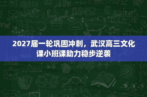2027届一轮巩固冲刺,武汉高三文化课小班课助力稳步逆袭 2027届一轮巩固冲刺,武汉高三文化课小班课助力稳步逆袭