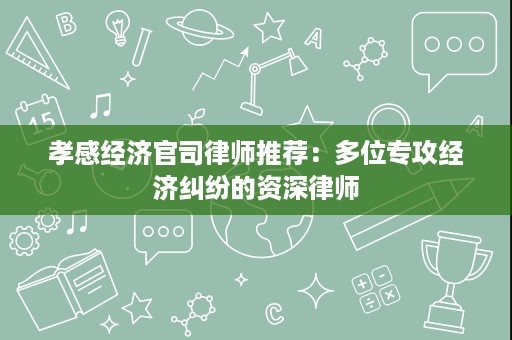 孝感经济官司律师推荐：多位专攻经济纠纷的资深律师