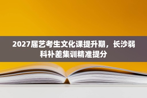 2027届艺考生文化课提升期，长沙弱科补差集训精准提分
