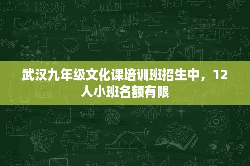 武汉九年级文化课培训班招生中,12人小班名额有限 武汉九年级文化课培训班招生中,12人小班名额有限