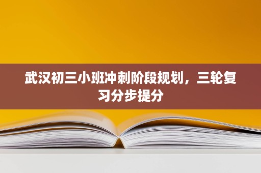 武汉初三小班冲刺阶段规划,三轮复习分步提分 武汉初三小班冲刺阶段规划,三轮复习分步提分