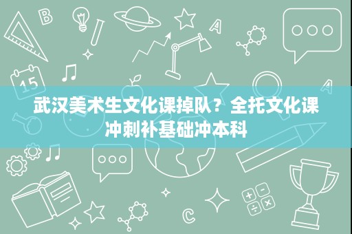 武汉美术生文化课掉队？全托文化课冲刺补基础冲本科