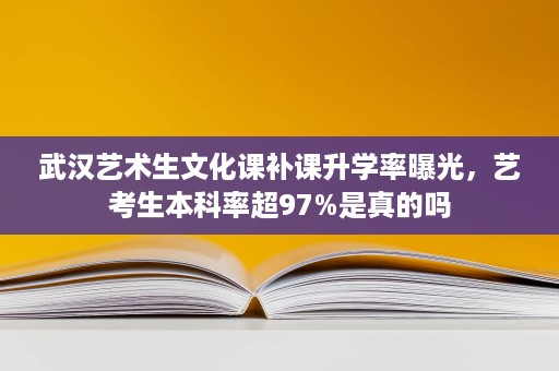 武汉艺术生文化课补课升学率曝光,艺考生本科率超97%是真的吗 武汉艺术生文化课补课升学率曝光,艺考生本科率超97%是真的吗