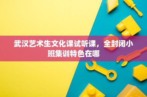 武汉艺术生文化课试听课,全封闭小班集训特色在哪 武汉艺术生文化课试听课,全封闭小班集训特色在哪