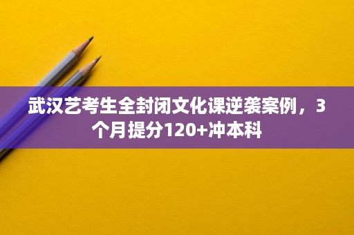 武汉艺考生全封闭文化课逆袭案例,3个月提分120+冲本科 武汉艺考生全封闭文化课逆袭案例,3个月提分120+冲本科