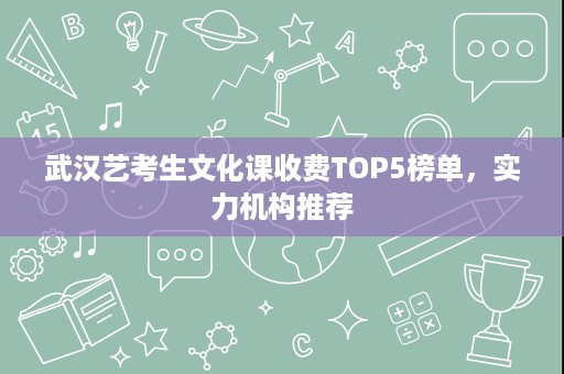 武汉艺考生文化课收费TOP5榜单,实力机构推荐 武汉艺考生文化课收费TOP5榜单,实力机构推荐