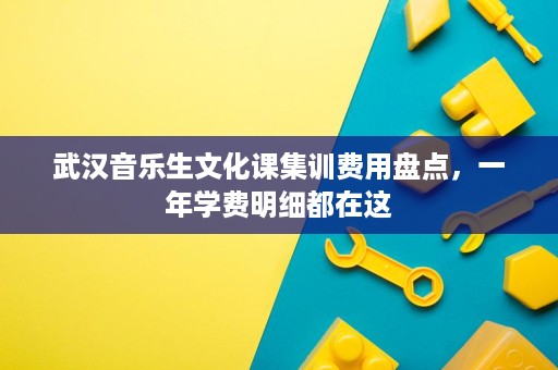 武汉音乐生文化课集训费用盘点，一年学费明细都在这