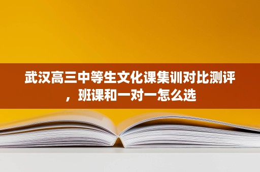 武汉高三中等生文化课集训对比测评，班课和一对一怎么选