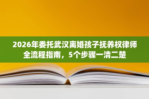 2026年委托武汉离婚孩子抚养权律师全流程指南,5个步骤一清二楚 2026年委托武汉离婚孩子抚养权律师全流程指南,5个步骤一清二楚