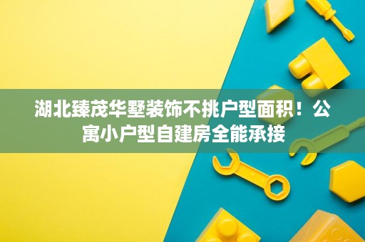 湖北臻茂华墅装饰不挑户型面积!公寓小户型自建房全能承接 湖北臻茂华墅装饰不挑户型面积!公寓小户型自建房全能承接
