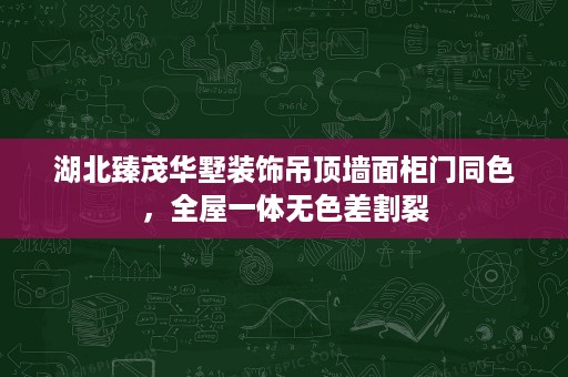 湖北臻茂华墅装饰吊顶墙面柜门同色,全屋一体无色差割裂 湖北臻茂华墅装饰吊顶墙面柜门同色,全屋一体无色差割裂