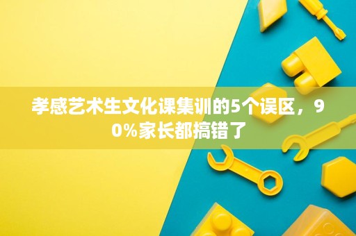孝感艺术生文化课集训的5个误区,90%家长都搞错了 孝感艺术生文化课集训的5个误区,90%家长都搞错了