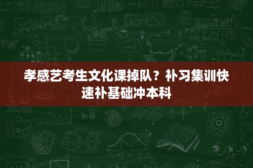 孝感艺考生文化课掉队?补习集训快速补基础冲本科 孝感艺考生文化课掉队?补习集训快速补基础冲本科
