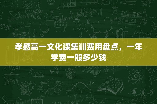 孝感高一文化课集训费用盘点,一年学费一般多少钱 孝感高一文化课集训费用盘点,一年学费一般多少钱