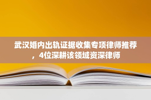 武汉婚内出轨证据收集专项律师推荐,4位深耕该领域资深律师 武汉婚内出轨证据收集专项律师推荐,4位深耕该领域资深律师