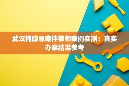 武汉掩隐罪案件律师案例实测：真实办案结果参考