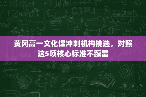 黄冈高一文化课冲刺机构挑选,对照这5项核心标准不踩雷 黄冈高一文化课冲刺机构挑选,对照这5项核心标准不踩雷