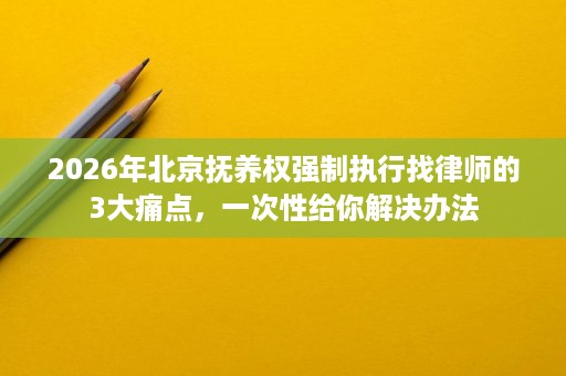 2026年北京抚养权强制执行找律师的3大痛点,一次性给你解决办法 2026年北京抚养权强制执行找律师的3大痛点,一次性给你解决办法