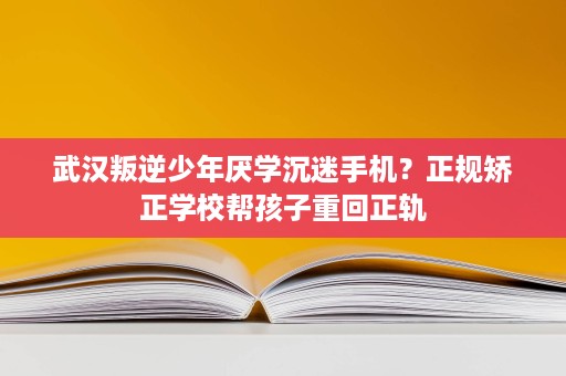 武汉叛逆少年厌学沉迷手机?正规矫正学校帮孩子重回正轨 武汉叛逆少年厌学沉迷手机?正规矫正学校帮孩子重回正轨