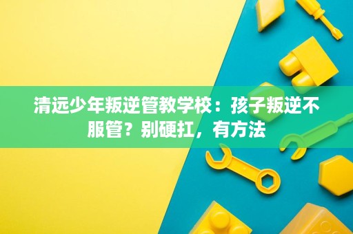 清远少年叛逆管教学校:孩子叛逆不服管?别硬扛,有方法 清远少年叛逆管教学校:孩子叛逆不服管?别硬扛,有方法