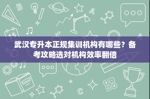 武汉专升本正规集训机构有哪些？备考攻略选对机构效率翻倍
