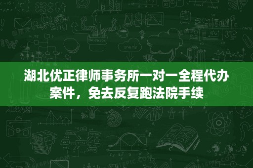 湖北优正律师事务所一对一全程代办案件,免去反复跑法院手续 湖北优正律师事务所一对一全程代办案件,免去反复跑法院手续
