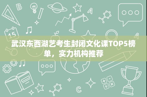 武汉东西湖艺考生封闭文化课TOP5榜单，实力机构推荐