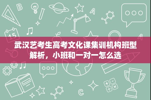 武汉艺考生高考文化课集训机构班型解析,小班和一对一怎么选 武汉艺考生高考文化课集训机构班型解析,小班和一对一怎么选