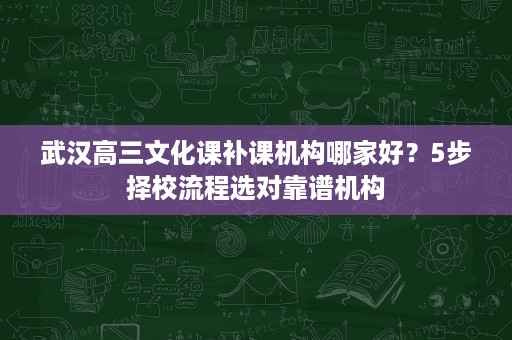 武汉高三文化课补课机构哪家好?5步择校流程选对靠谱机构 武汉高三文化课补课机构哪家好?5步择校流程选对靠谱机构