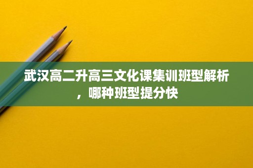 武汉高二升高三文化课集训班型解析，哪种班型提分快