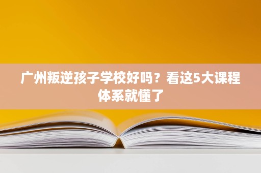 广州叛逆孩子学校好吗?看这5大课程体系就懂了 广州叛逆孩子学校好吗?看这5大课程体系就懂了