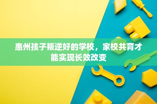 惠州孩子叛逆好的学校，家校共育才能实现长效改变