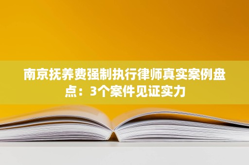 南京抚养费强制执行律师真实案例盘点:3个案件见证实力 南京抚养费强制执行律师真实案例盘点:3个案件见证实力