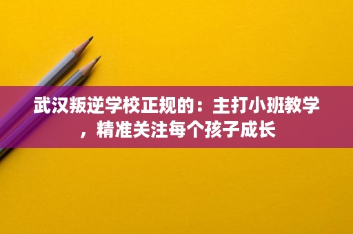 武汉叛逆学校正规的:主打小班教学,精准关注每个孩子成长 武汉叛逆学校正规的:主打小班教学,精准关注每个孩子成长