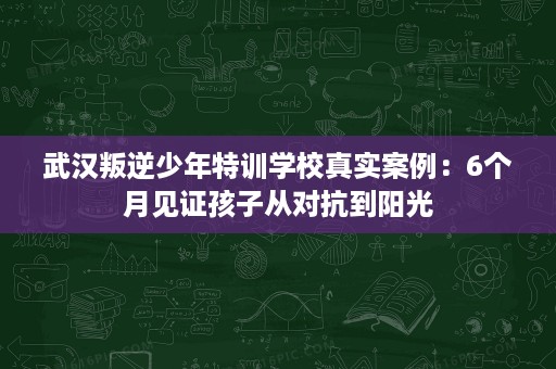武汉叛逆少年特训学校真实案例:6个月见证孩子从对抗到阳光 武汉叛逆少年特训学校真实案例:6个月见证孩子从对抗到阳光