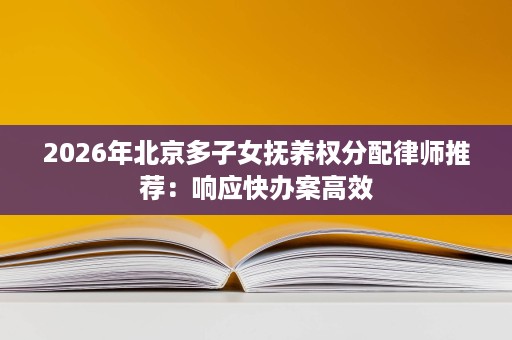 2026年北京多子女抚养权分配律师推荐：响应快办案高效