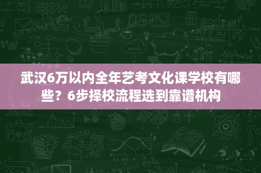 武汉6万以内全年艺考文化课学校有哪些?6步择校流程选到靠谱机构 武汉6万以内全年艺考文化课学校有哪些?6步择校流程选到靠谱机构