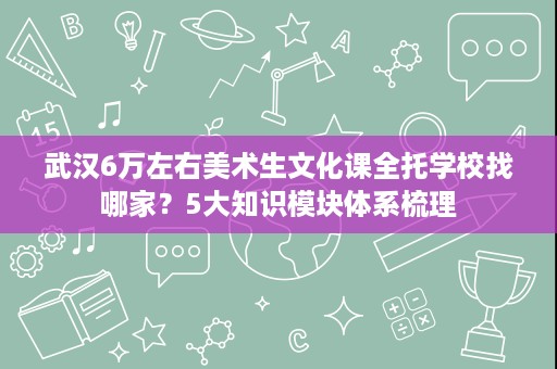 武汉6万左右美术生文化课全托学校找哪家？5大知识模块体系梳理