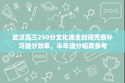 武汉高三250分文化课全封闭兜底补习提分效率，半年提分幅度参考