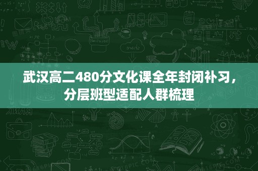 武汉高二480分文化课全年封闭补习,分层班型适配人群梳理 武汉高二480分文化课全年封闭补习,分层班型适配人群梳理