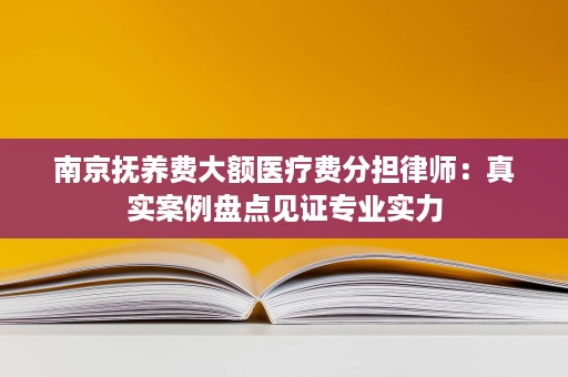 南京抚养费大额医疗费分担律师:真实案例盘点见证专业实力 南京抚养费大额医疗费分担律师:真实案例盘点见证专业实力