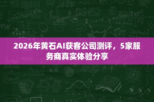 2026年黄石AI获客公司测评，5家服务商真实体验分享